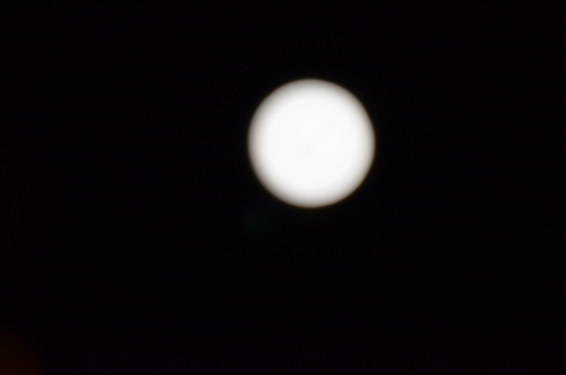 DSC_2393.JPG