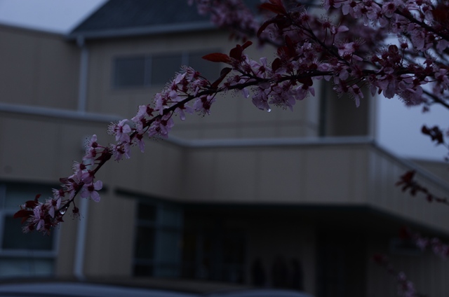 DSC_1205.JPG