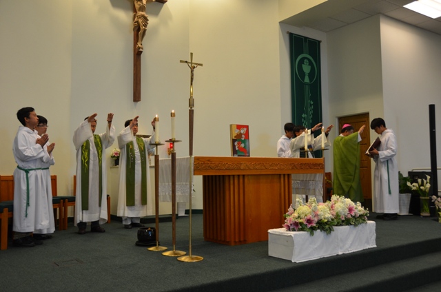 DSC_6633.JPG