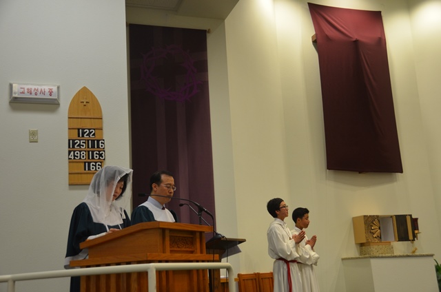 DSC_1962.JPG