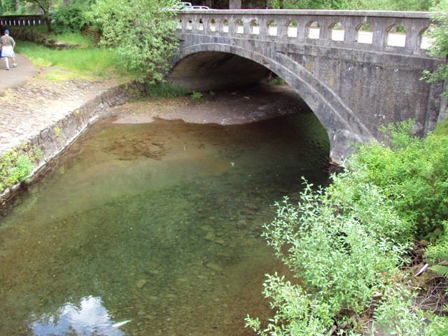 DSC04851.JPG