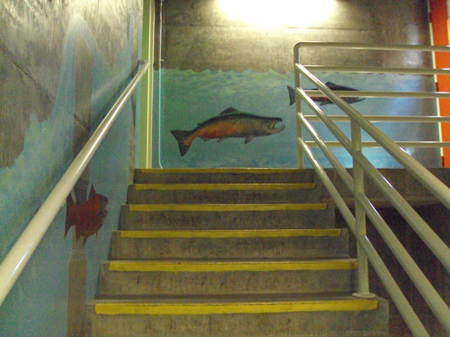 DSC04905.JPG