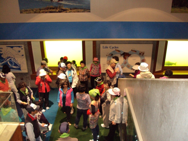 DSC04915.JPG