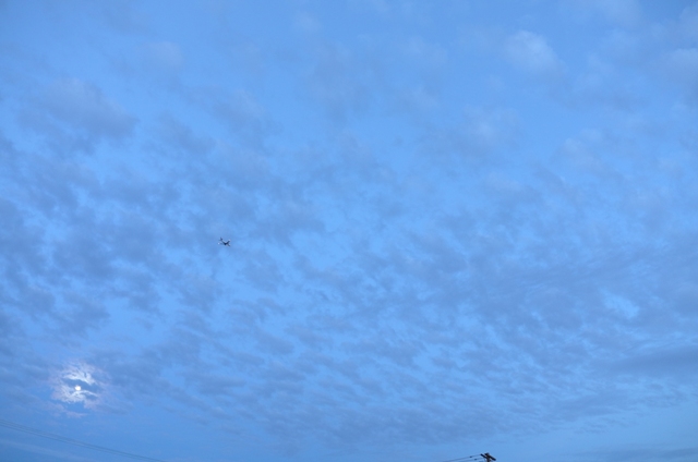 L1090256.JPG