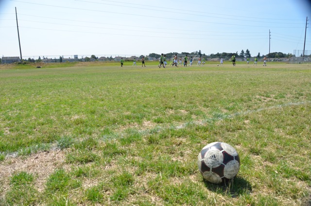 DSC_9422.JPG
