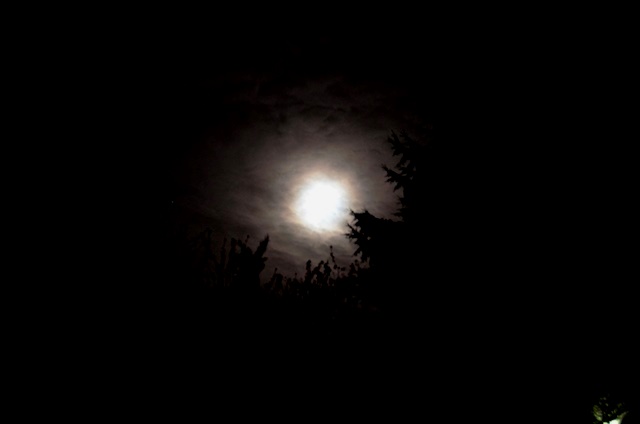 DSC_8430.JPG