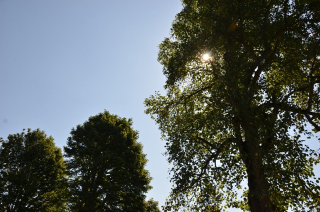 DSC_6124.JPG