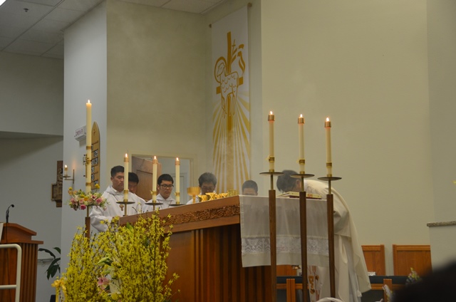 DSC_2233.JPG
