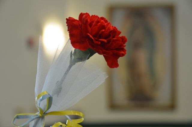 DSC_9673.JPG