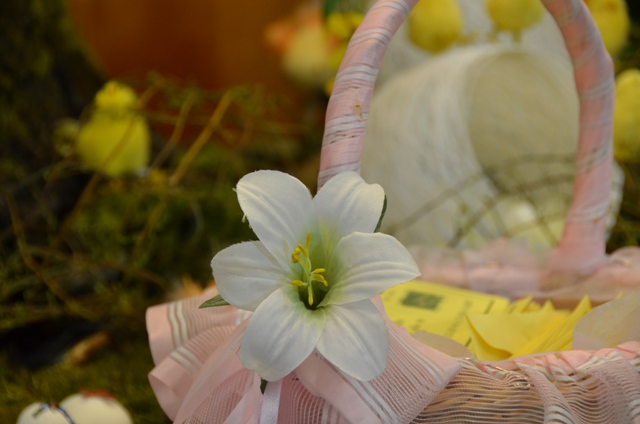 DSC_4198.JPG