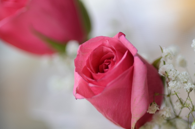 DSC_5132.JPG