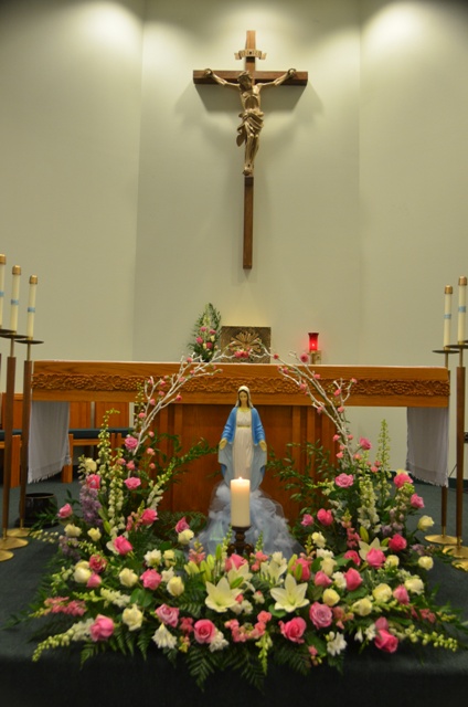 DSC_7132.JPG