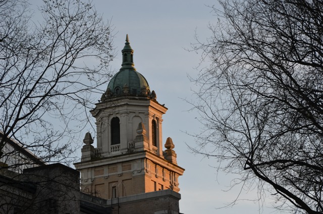 DSC_1343.JPG