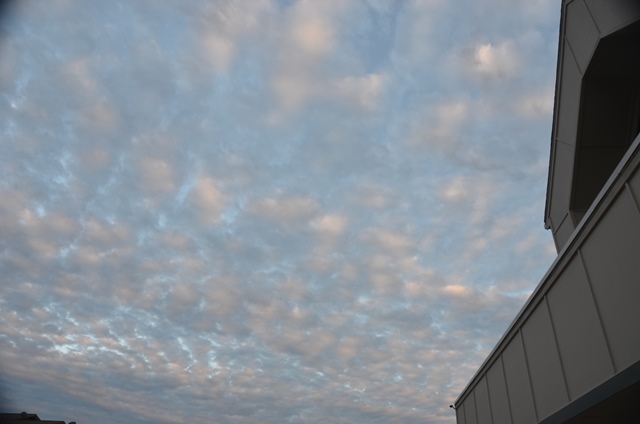 DSC_6033.JPG