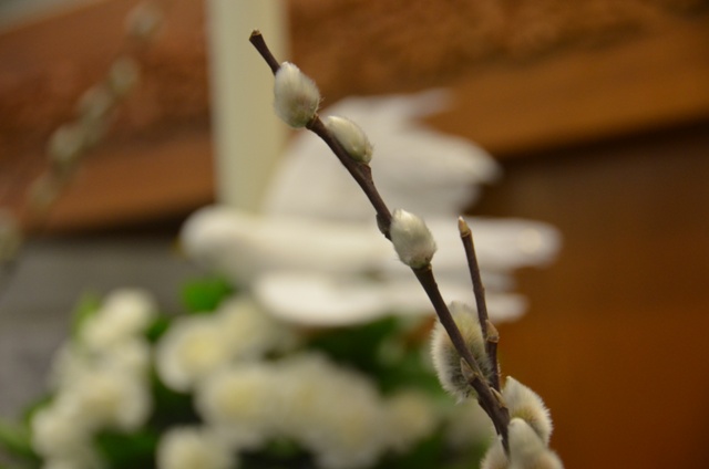 DSC_1669.JPG