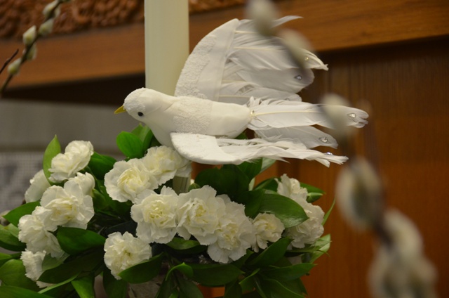DSC_1671.JPG