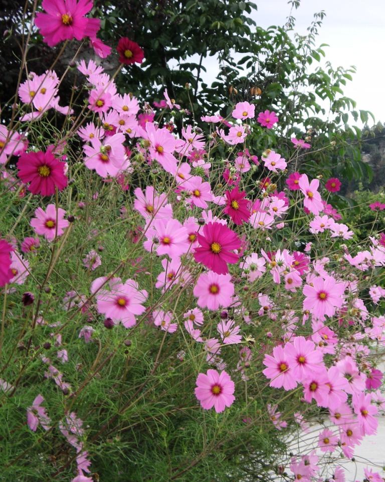 33rd.JPG