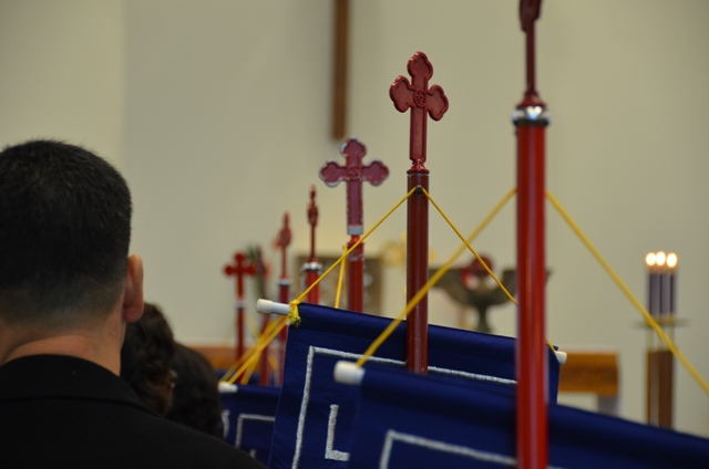 DSC_3237.JPG