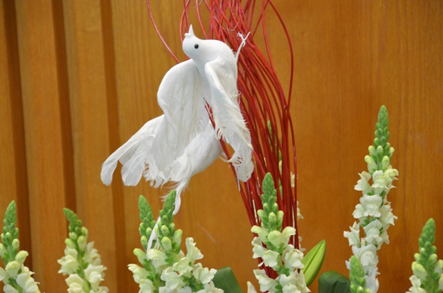 DSC_9756.JPG