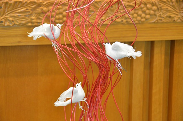 DSC_9779.JPG
