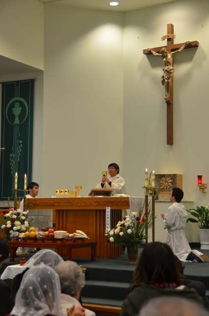 DSC_1445.JPG