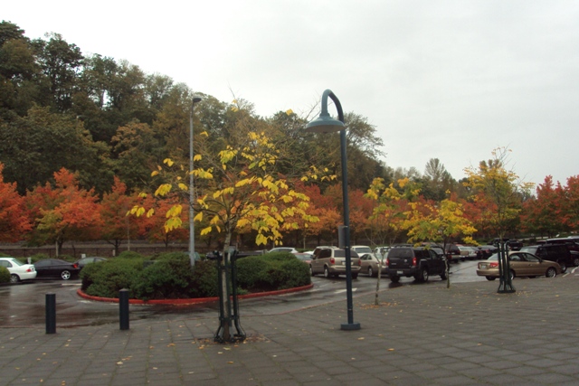 DSC03711.JPG