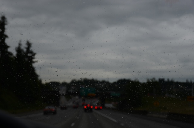 DSC_6425.JPG