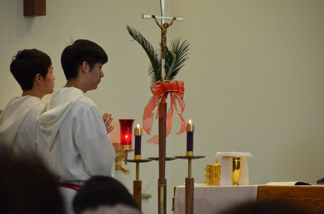 DSC_3763.JPG