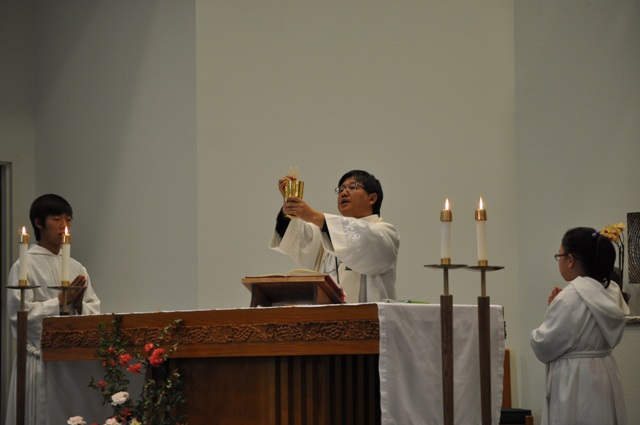 DSC_1617.JPG