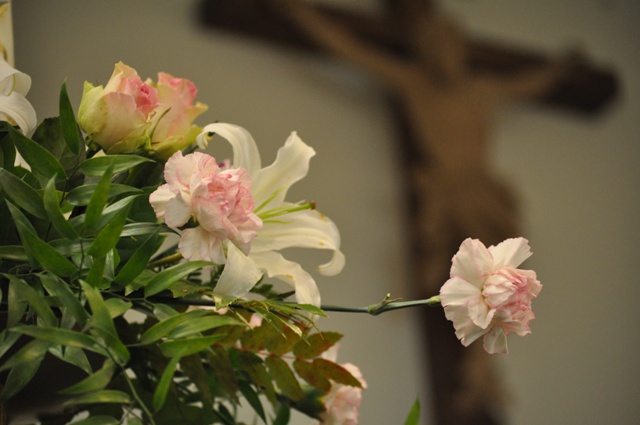 DSC_1668.JPG