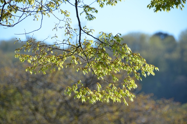 DSC_1895.JPG