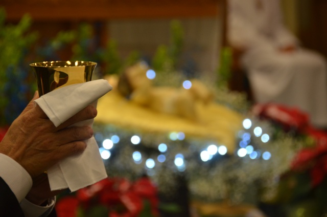 DSC_1291.JPG