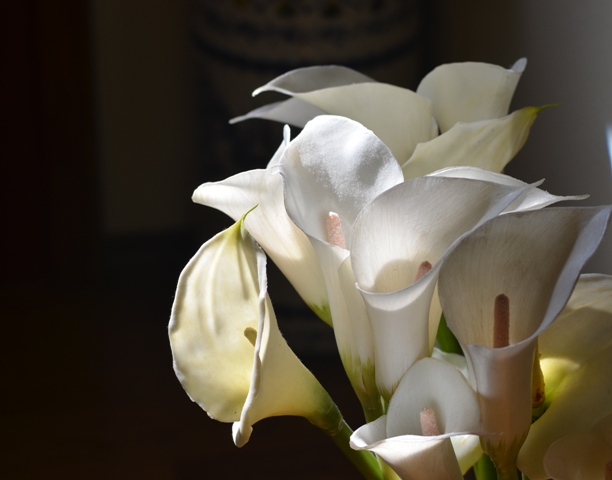 DSC_7608.JPG