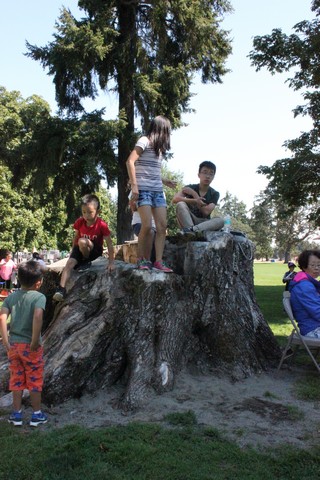 IMG_7977.jpg