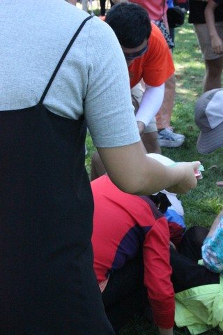 IMG_8173.jpg