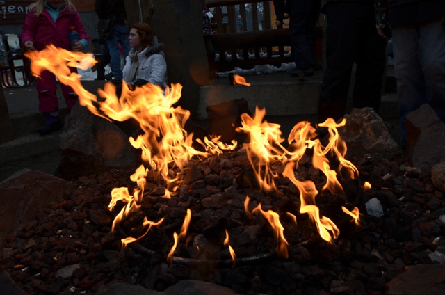 DSC_1678.JPG
