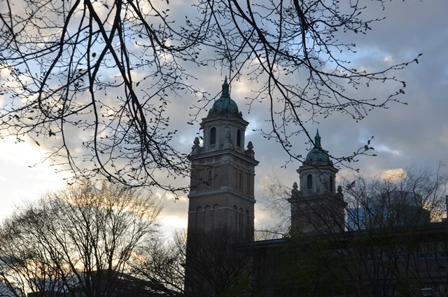 DSC_1505.JPG