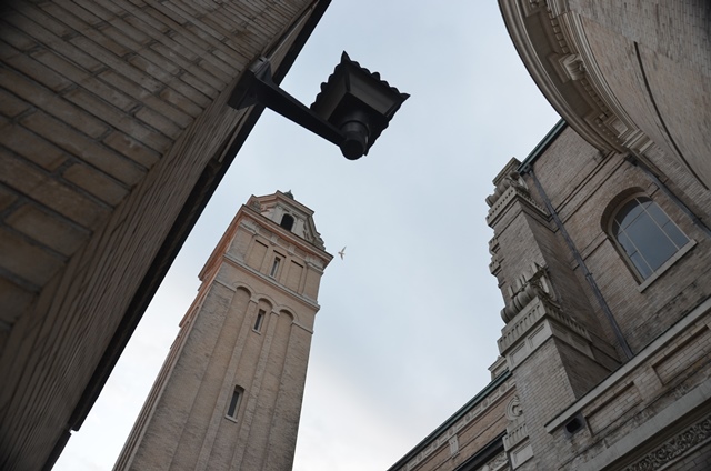 DSC_1579.JPG