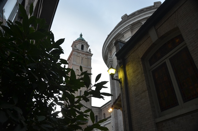 DSC_1583.JPG