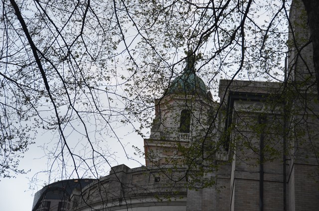 DSC_1588.JPG