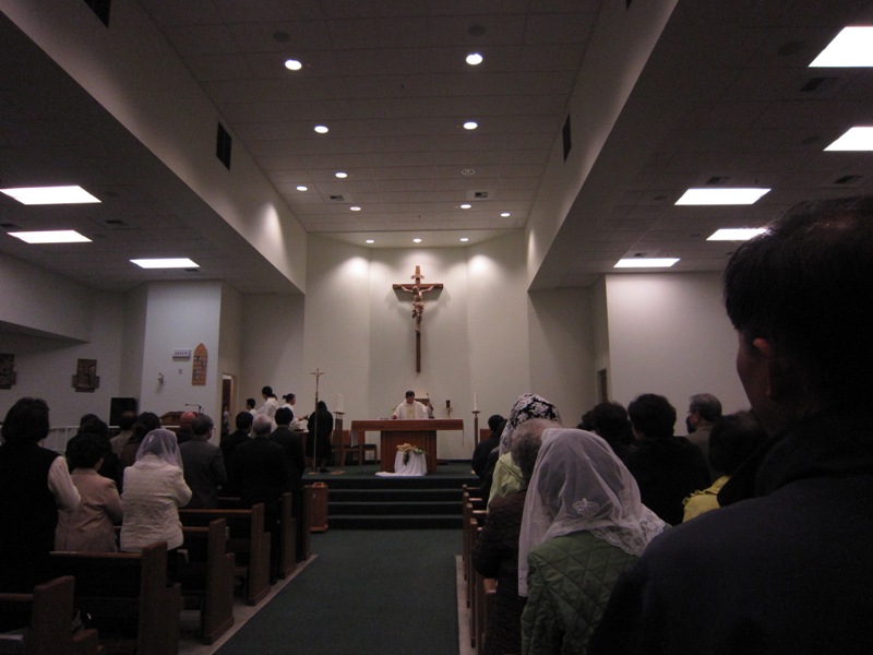 IMG_0806.jpg