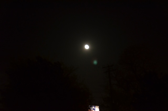 DSC_1950.JPG