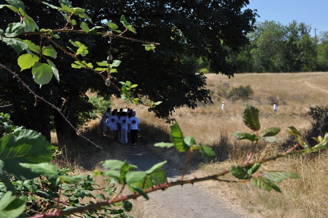 DSC_0254.JPG