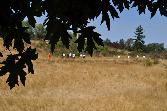 DSC_0258.JPG
