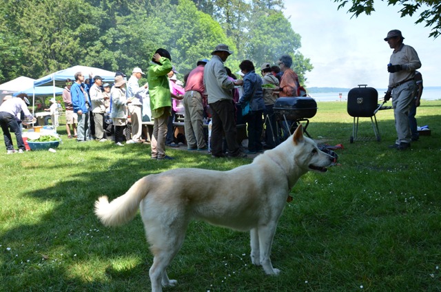 DSC_5692.JPG