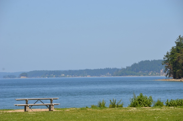 DSC_5828.JPG